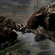 Image for article titled Dark Souls' PC Version, Fixed Up And Looking Fine